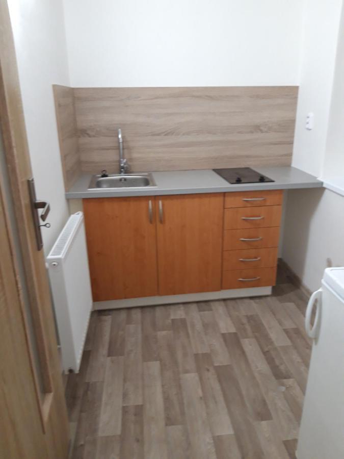 Apartman Plasy Bagian luar foto